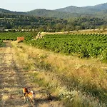 L Escapade Corbieres * Lagrasse