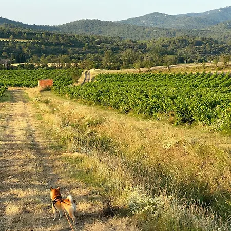 L Escapade Corbieres * Lagrasse