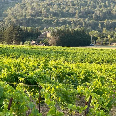 L Escapade Corbieres * Lagrasse