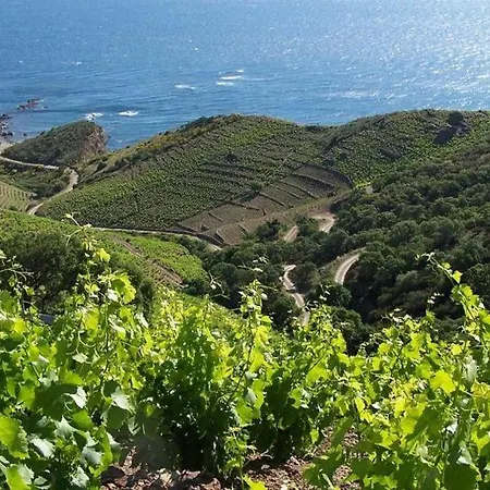 L Escapade Corbieres Nyaraló