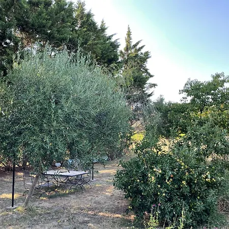 L Escapade Corbieres