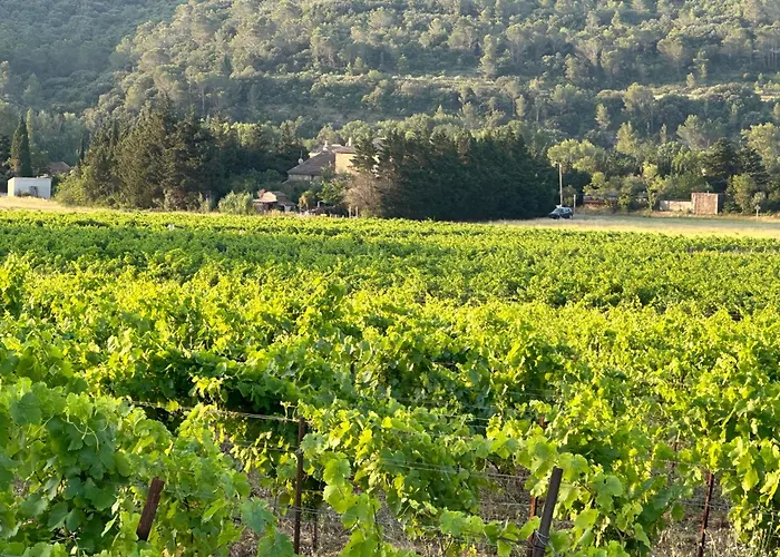 L Escapade Corbieres * Lagrasse